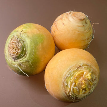 Three golden-yellow turnips with green stems on a brown background.
