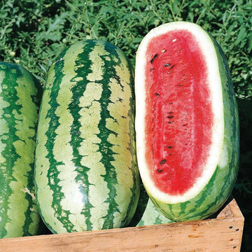 A photo showing two watermelons with one cut in half to reveal the red flesh, placed on a wooden surface with greenery in the background.