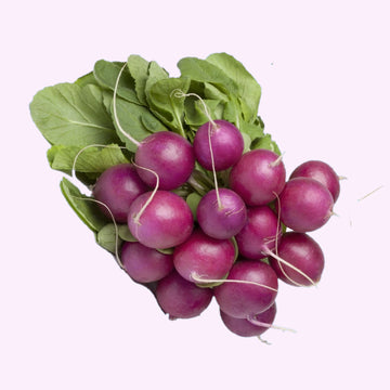 Radish Purple Beauty Seeds