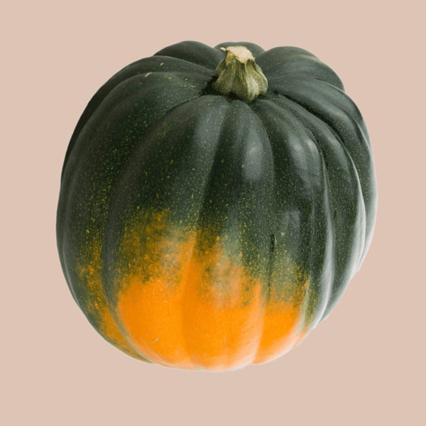 Squash Acorn Table Queen Seeds