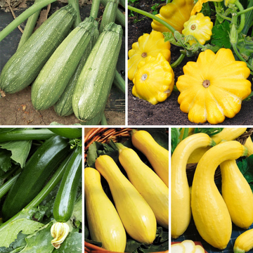 Thrive's Squash and Zucchini (Summer) Mix