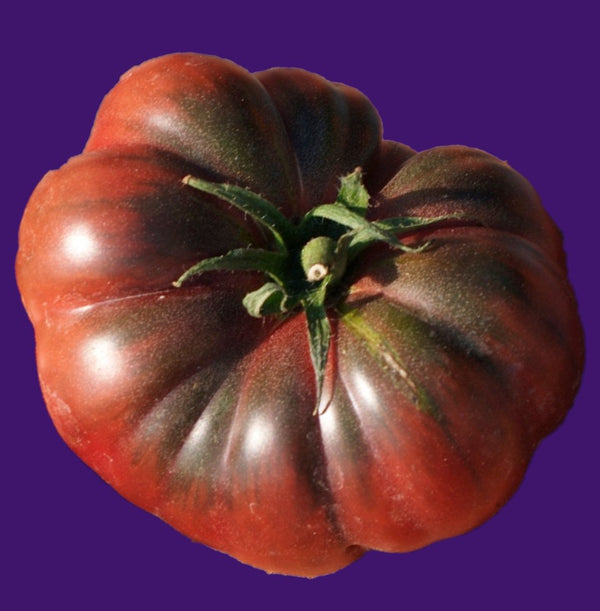 Tomato Calabash Purple Seeds