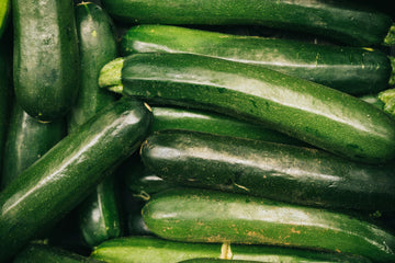 Squash Dark Green Zucchini Seeds