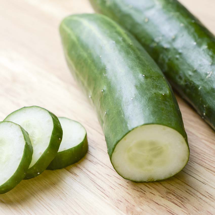 Cucumber, Burpless Bush Seeds | Thrive Heirloom Seed Emporium