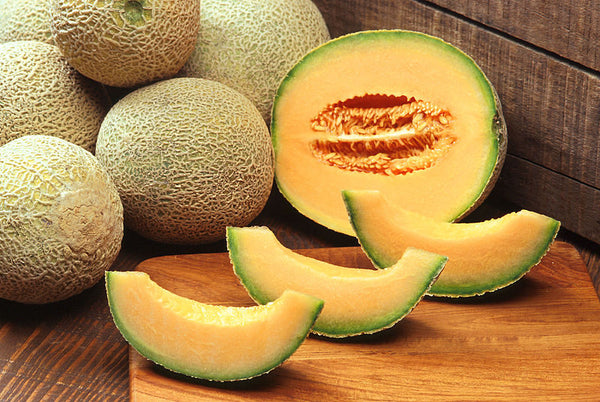 Melon, Hales Best Jumbo Seeds