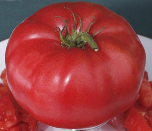 Martian Giant Slicer Heirloom Certified-Organic Tomato Seed