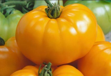 Tomato Brandywine Yellow Seeds