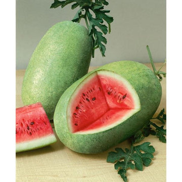Watermelon, Charleston Gray Seeds