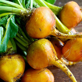 A bunch of golden Detroit beets with green leaves still attached, laying on a wooden surface.