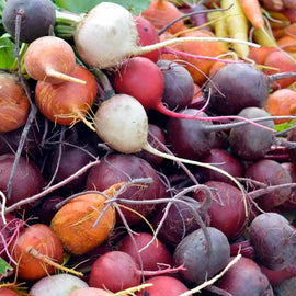 A variety of rainbow blend beets with different colors including orange, purple, red, white, and multi-colored roots, with some leaves still attached.