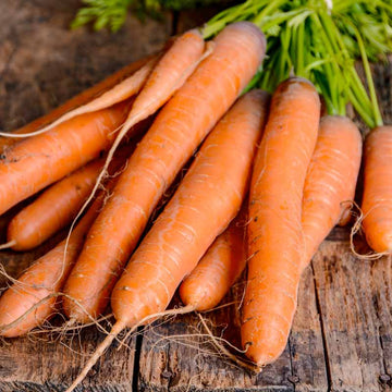 A bunch of fresh Nantes Scarlet carrots with green tops on a wooden surface.