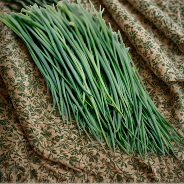 Bunch of green onions on a patterned fabric background