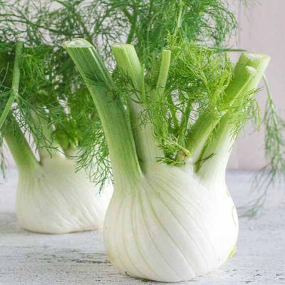 Two fennel bulbs with green fronds on a light wooden surface.