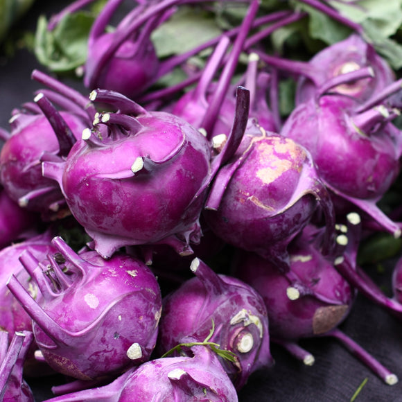 Close-up of purple kohlrabi on a dark surface
