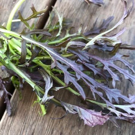 Mustard Mizuna Red Streaks Seeds
