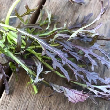 Mustard Mizuna Red Streaks Seeds