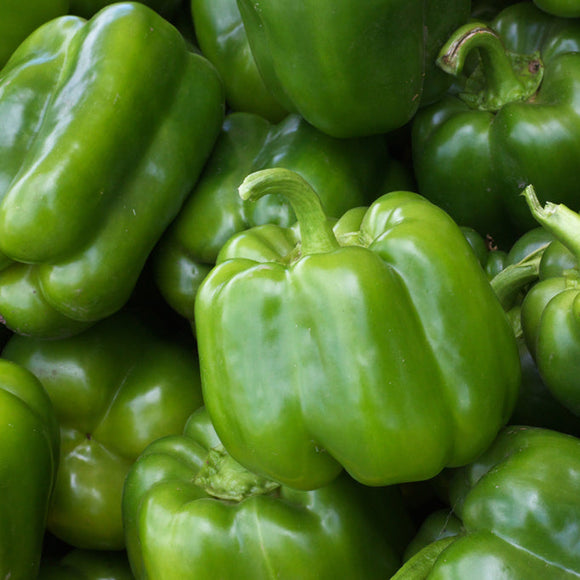 Close-up of green bell peppers with a focus on texture and color.