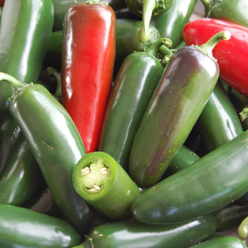 A variety of fresh jalapeno peppers, both green and red, displayed together.