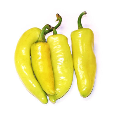 A group of four yellow Sweet Banana Peppers with a greenish tint, still attached to their stems, against a white background.
