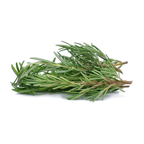 Bunch of fresh rosemary on a white background