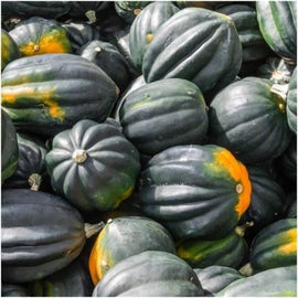 A pile of dark green acorn squash fruits with some having pale orange patches.