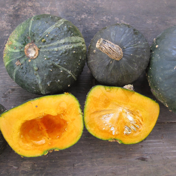 Several Burgess Buttercup squash fruits are displayed, with one fruit cut open to show the orange flesh inside.