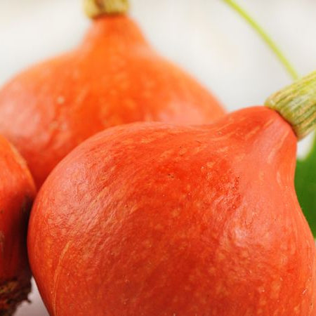 Close-up of a red fruit with a green stem on a white background