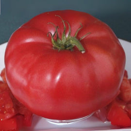 Close-up of a large red tomato on a white plate with a dark background