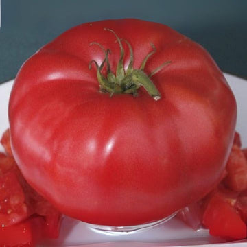 Close-up of a large red tomato on a white plate with a dark background