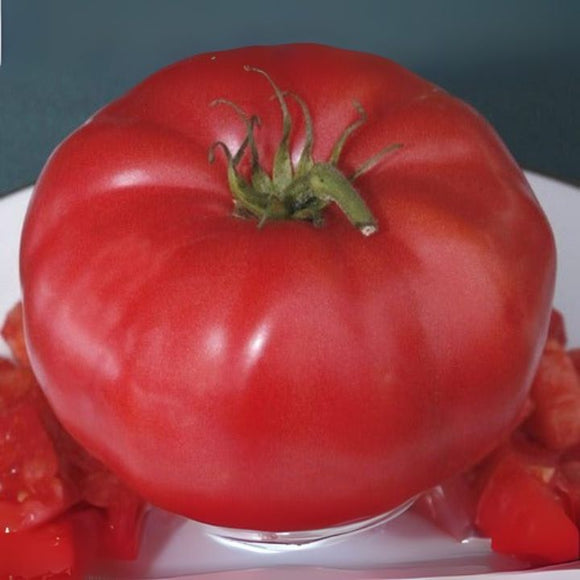 Close-up of a large red tomato on a white plate with a dark background