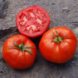 Two whole Rutgers tomatoes and one half-cut Rutgers tomato showing the inside, on a stone surface.