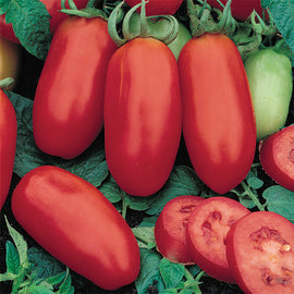 A cluster of red San Marzano tomatoes on the vine with leaves in the background, and some tomatoes cut open to show the inside.