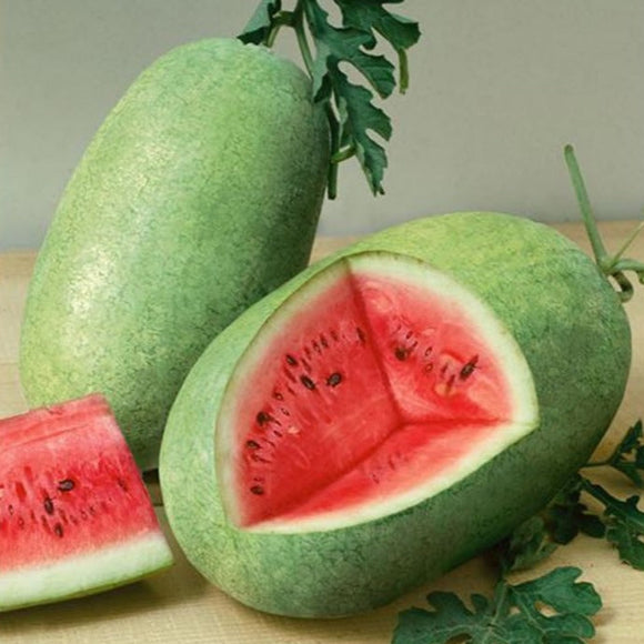 Watermelon with a slice cut out, showing its red flesh and green rind.